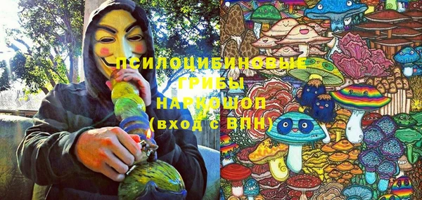 амф Балахна