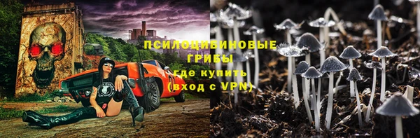 амф Балахна